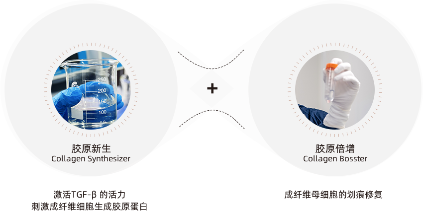 COL.SYNBOOST?膠原智配科技