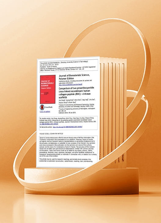 國內(nèi)外發(fā)明專利